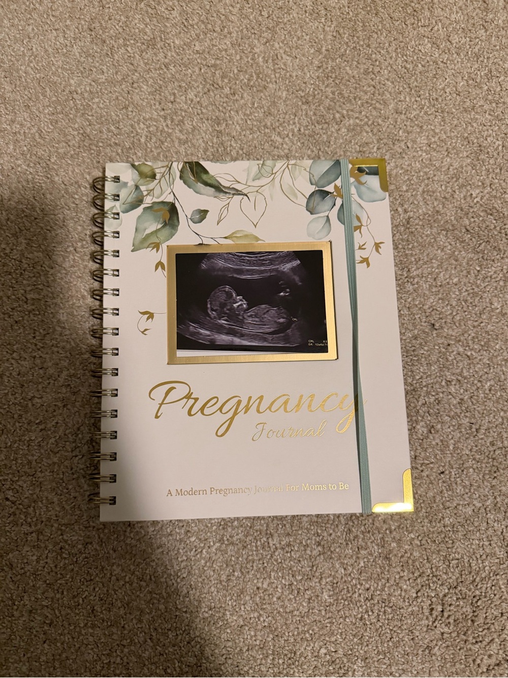 New Pregnancy Journal